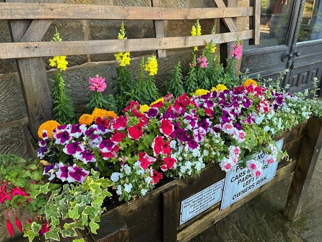 commercial-hanging-baskets (4)-kireth-ai